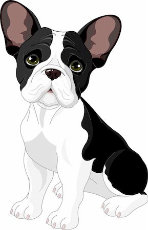 dog ear cartoon - French bulldog, sitting in front of white background Stock Photo - Budget Royalty-Free & Subscription, Code: 400-05908107