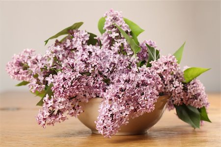 simsearch:400-08197381,k - Beautiful pink lilac in a vase. Shallow dof Foto de stock - Super Valor sin royalties y Suscripción, Código: 400-05908873