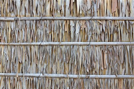 simple grass pattern - Palm leaf wall texture is natural wall Stock Photo - Budget Royalty-Free & Subscription, Code: 400-05909077