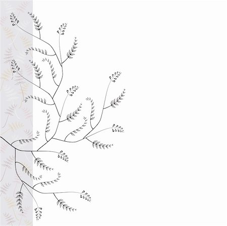 simsearch:400-07954617,k - floral abstract stylised simple background on white Stockbilder - Microstock & Abonnement, Bildnummer: 400-05900091