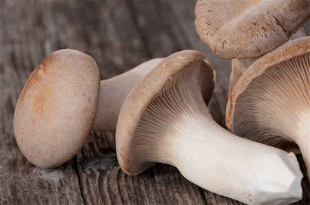 King trumpet mushrooms on a wooden background Fotografie stock - Microstock e Abbonamento, Codice: 400-05901731