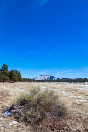 Image of Sunset Crater volcano in Flagstaff, Arizona Foto de stock - Super Valor sin royalties y Suscripción, Código: 400-05902344