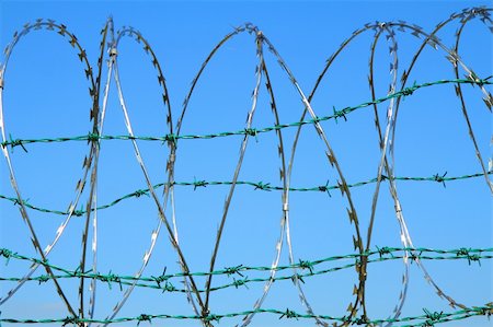 simsearch:400-04470103,k - barbed wire against blue sky as nice army background Photographie de stock - Aubaine LD & Abonnement, Code: 400-05902554