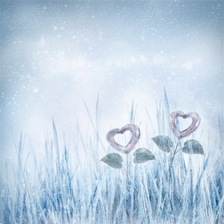 romance winter night - Valentines day card series. Two frozen hearts in the winter meadow. Stock Photo - Budget Royalty-Free & Subscription, Code: 400-05902617