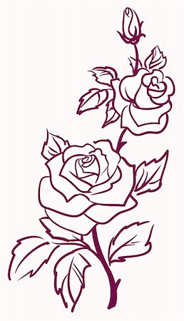 drawing of roses - three stylized pale roses  isolated on light  background, vector illustration Stock Photo - Budget Royalty-Free & Subscription, Code: 400-05902902