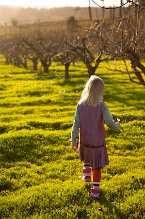 simsearch:400-06768635,k - Cute little girl outdoors on a green field with flowers and pear trees. Foto de stock - Royalty-Free Super Valor e Assinatura, Número: 400-05903019