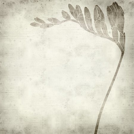 simsearch:400-05923102,k - textured old paper background with freesia illustration Stockbilder - Microstock & Abonnement, Bildnummer: 400-05903238