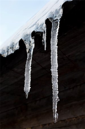 The icicles which are hanging down from a roof at home Stock Photo - Budget Royalty-Free & Subscription, Code: 400-05903378