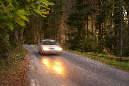 Car in blurred motion on wet road in forest area Stock Photo - Budget Royalty-Free & Subscription, Code: 400-05903836