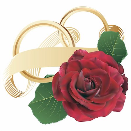 Golden wedding rings with ribbon and red rose - fully editable vectors Stock Photo - Budget Royalty-Free & Subscription, Code: 400-05914102