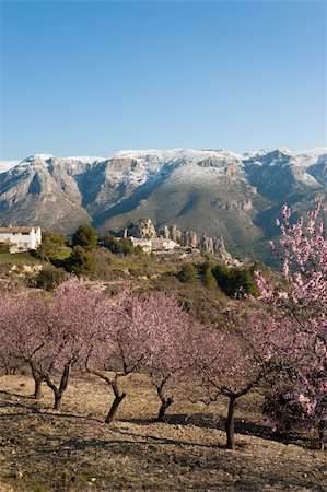 simsearch:400-06083036,k - Winter landscape around Guadalest, Costa Blanca, Spain Stock Photo - Budget Royalty-Free & Subscription, Code: 400-05914666