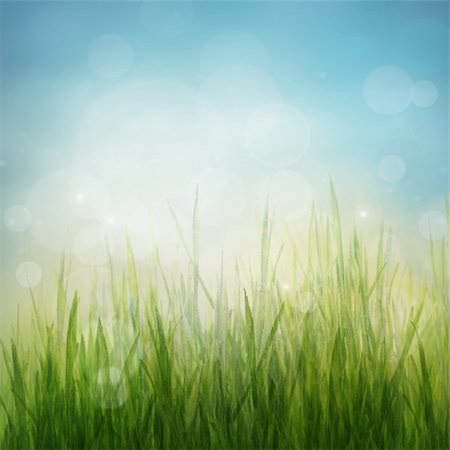 easter spring meadow - Spring or summer abstract season nature background with nature colors and bokeh lights. Stock Photo - Budget Royalty-Free & Subscription, Code: 400-05915027