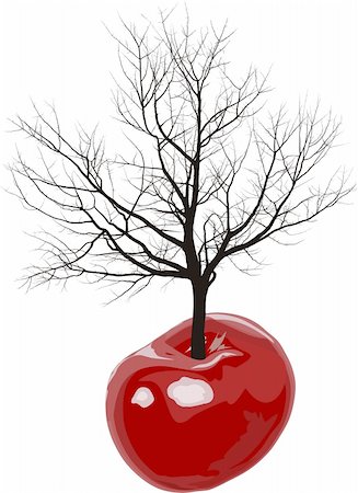 fruit tree silhouette - vector illustration of a tree growing out of cherries fruit Stock Photo - Budget Royalty-Free & Subscription, Code: 400-05915132