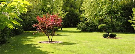 simsearch:400-08790052,k - nice spring park with color trees and sun Stockbilder - Microstock & Abonnement, Bildnummer: 400-05915347