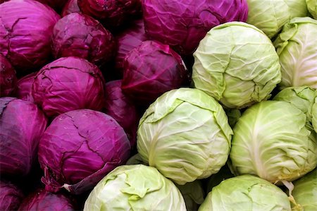 simsearch:400-05384796,k - Agricultural background, a white and purple cabbage Stock Photo - Budget Royalty-Free & Subscription, Code: 400-05915377