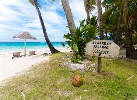 shield on a tropical beach,with warning text for falling coconuts Foto de stock - Royalty-Free Super Valor e Assinatura, Número: 400-05916886