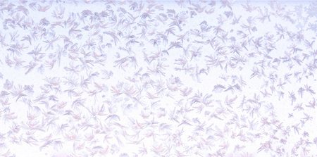 snowflakes on window - Beautiful frosty pattern on window Photographie de stock - Aubaine LD & Abonnement, Code: 400-05917172