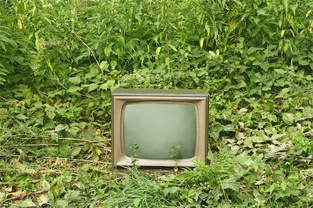 Old outmoded TV set in an environment of various green plants. Ecology concept Foto de stock - Super Valor sin royalties y Suscripción, Código: 400-05917387