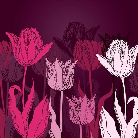 Vector floral background with the hand-drawn tulips Stock Photo - Budget Royalty-Free & Subscription, Code: 400-05917469