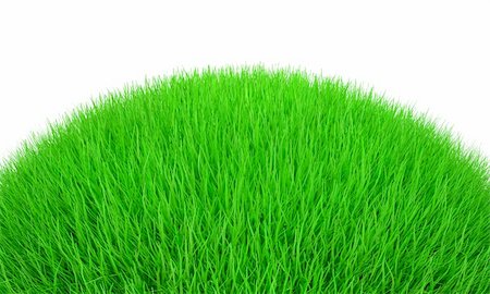 simsearch:400-03945601,k - Bright green hill with 3d grass. Isolated on white. Stock Photo - Budget Royalty-Free & Subscription, Code: 400-05919923