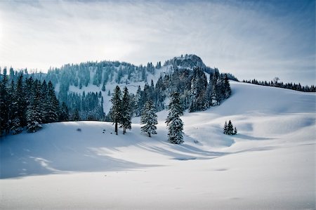Winterlandschaft mit Wald in den österreichischen Alpen Stockbilder - Microstock & Abonnement, Bildnummer: 400-05910167