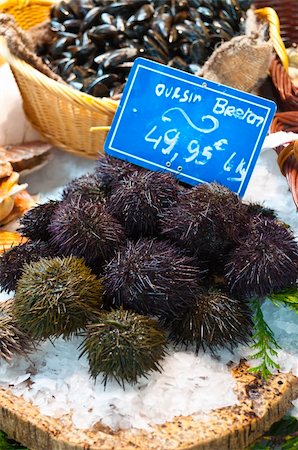 echinoderma - A close up vertical shot of fresh sea urchins on a bed of ice with a basket of fresh mussels in the background at a French fish market. Fotografie stock - Microstock e Abbonamento, Codice: 400-05910524