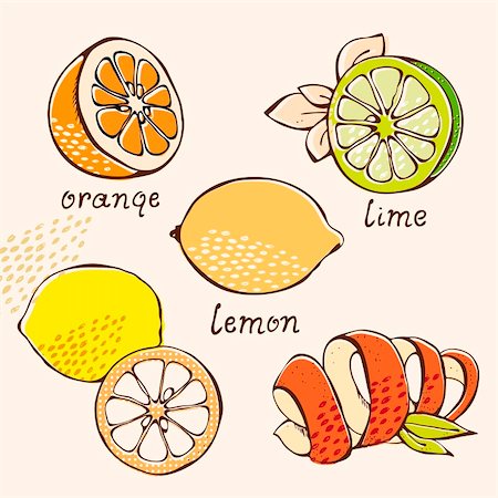 drawing lemon - Citrus vector set from orange, lemon, lime, grapefruit in cartoon style Stock Photo - Budget Royalty-Free & Subscription, Code: 400-05910931