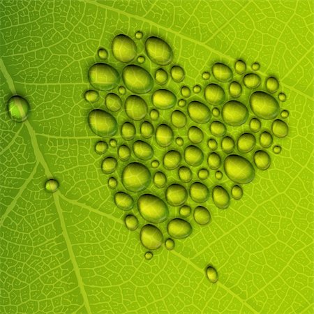simsearch:400-04617126,k - Heart shape dew drops on green leaf. Vector illustration, EPS10 Fotografie stock - Microstock e Abbonamento, Codice: 400-05911356