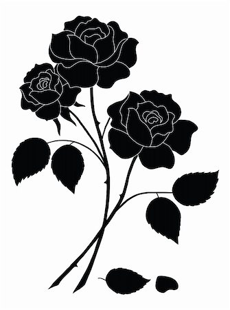 Flowers, rose bouquet, love symbol, floral gift, silhouette. Vector Photographie de stock - Aubaine LD & Abonnement, Code: 400-05911486