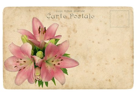 pink grunge scratched abstract background - Blooming flower of pink lily. Old postcard, design in grunge and retro style Stock Photo - Budget Royalty-Free & Subscription, Code: 400-05912159