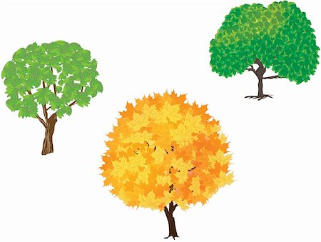 trees vector Stock Photo - Budget Royalty-Free & Subscription, Code: 400-05912261