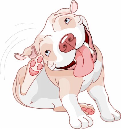 dog ear cartoon - Illustration of a cute pit bull scratching over white background Stock Photo - Budget Royalty-Free & Subscription, Code: 400-05913601