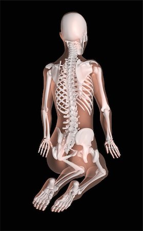 simsearch:400-04359834,k - 3D render of a female medical skeleton in a yoga position Foto de stock - Super Valor sin royalties y Suscripción, Código: 400-05927761