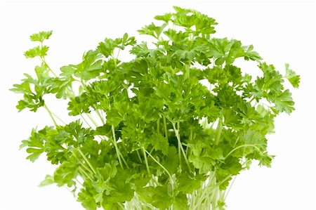 simsearch:400-05691274,k - bush of fresh parsley on white background Photographie de stock - Aubaine LD & Abonnement, Code: 400-05928749