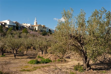 simsearch:400-05920005,k - Parcent, Costa Blanca, Spain, Mediterranean village surrounded by olive trees Foto de stock - Super Valor sin royalties y Suscripción, Código: 400-05920011