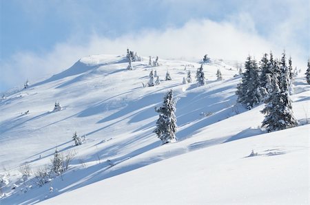 simsearch:400-04319458,k - Winter calm mountain landscape with snow covered firs on ridge Stock Photo - Budget Royalty-Free & Subscription, Code: 400-05920181