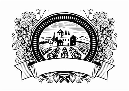 Grapes harvest label in woodcut style. Black and white vector illustration. Stock Photo - Budget Royalty-Free & Subscription, Code: 400-05920626