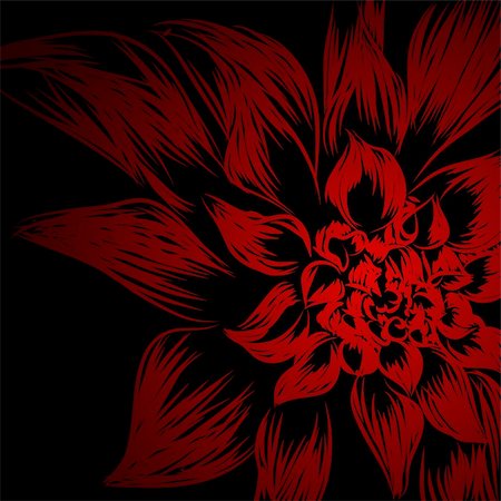 Floral background (flower on black background) Stock Photo - Budget Royalty-Free & Subscription, Code: 400-05920812