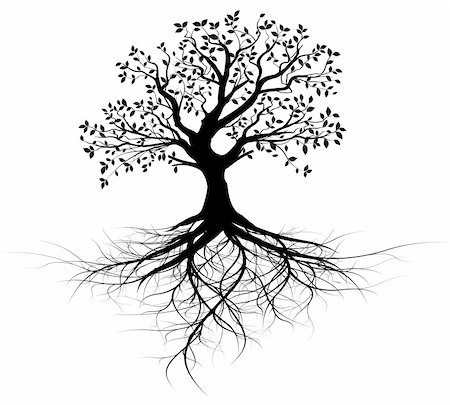 pictogram lines - whole black tree with roots isolated white background vector Foto de stock - Super Valor sin royalties y Suscripción, Código: 400-05920924