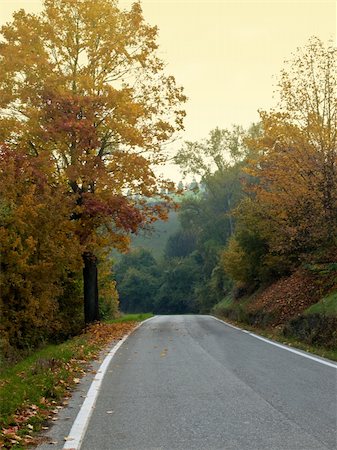 road in Autumn woods with colorful foliage tree in rural area Stock Photo - Budget Royalty-Free & Subscription, Code: 400-05921415