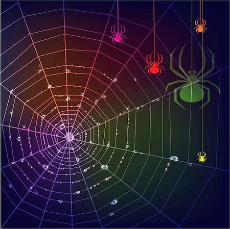 Dark background with  colorful spiders, web and water drops. Stock Photo - Budget Royalty-Free & Subscription, Code: 400-05922897