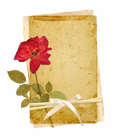 Old cards and dried rose for scrapbooking design. Object isolated over white Stock Photo - Budget Royalty-Free & Subscription, Code: 400-05922954