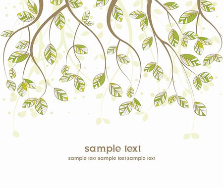 simsearch:400-04408167,k - branches with leaves on white background Stock Photo - Budget Royalty-Free & Subscription, Code: 400-05923891