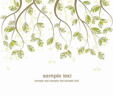 simsearch:400-04385202,k - branches with leaves on white background Foto de stock - Super Valor sin royalties y Suscripción, Código: 400-05923891