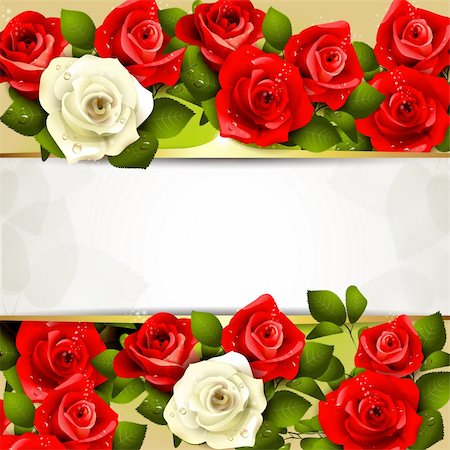 Background with red and white roses Stock Photo - Budget Royalty-Free & Subscription, Code: 400-05934657