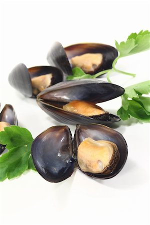 simsearch:400-05939167,k - Mussels with flat leaf parsley on a white background Photographie de stock - Aubaine LD & Abonnement, Code: 400-05936637