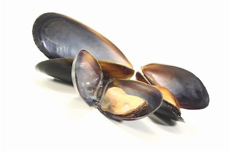 simsearch:400-05939167,k - three fresh steamed Mussels on a white background Photographie de stock - Aubaine LD & Abonnement, Code: 400-05936633