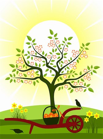 daffodil and landscape - vector hand barrow with basket of easter eggs in orchard, Adobe Illustrator 8 format Stock Photo - Budget Royalty-Free & Subscription, Code: 400-05937052