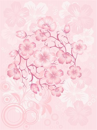 sakura  blossom, vector illustration Foto de stock - Super Valor sin royalties y Suscripción, Código: 400-05946867
