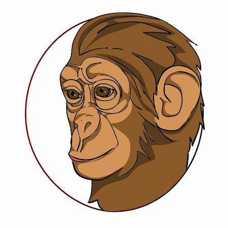 simsearch:400-05372772,k - monkey head in a circle, chinese zodiac sign isolated on white Photographie de stock - Aubaine LD & Abonnement, Code: 400-05947483